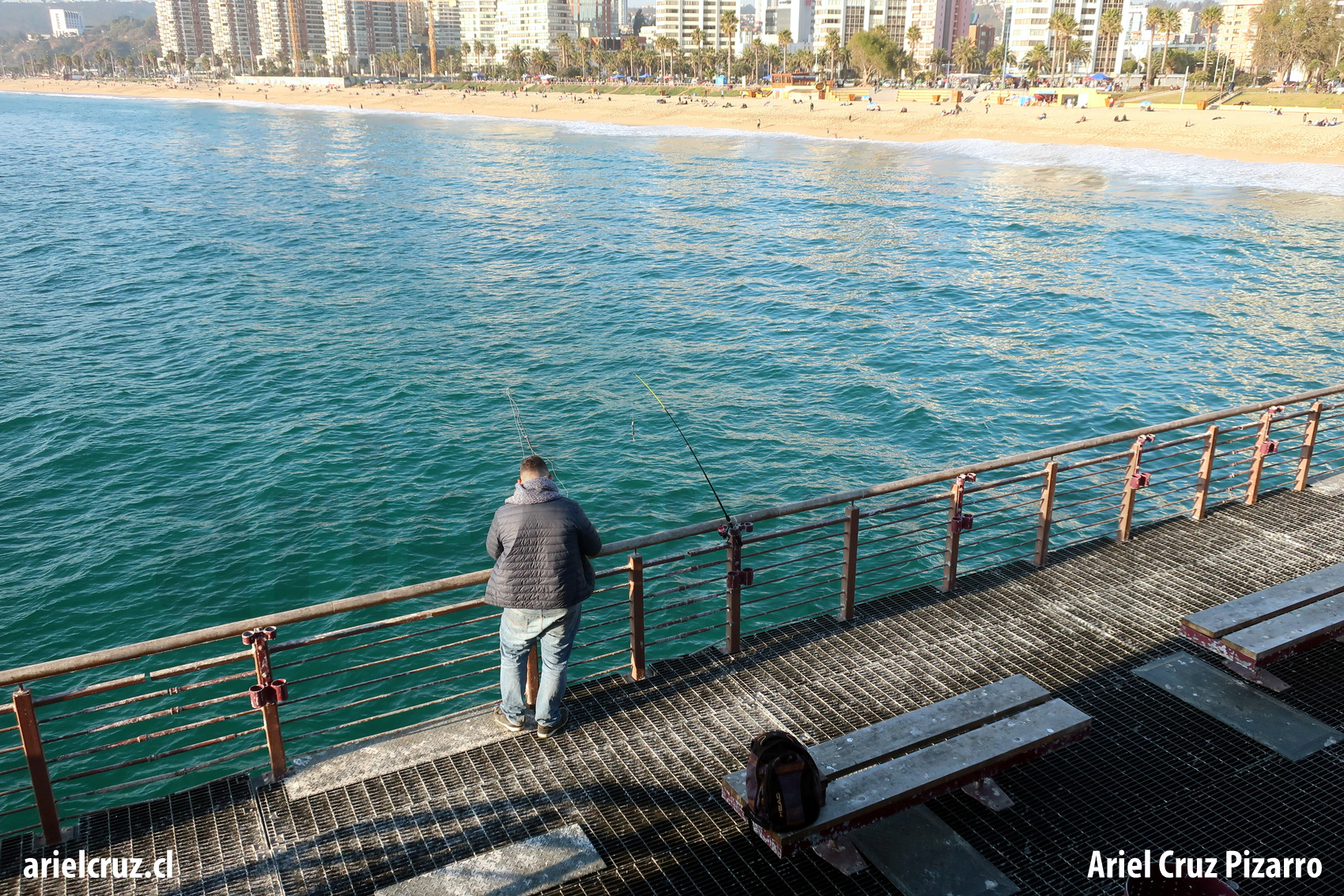 viña del mar – muelle vergara