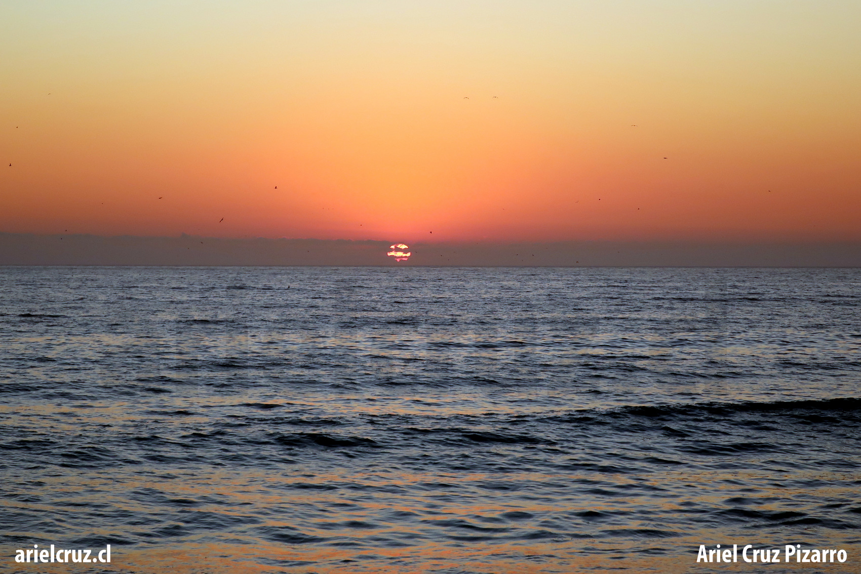 viña del mar – atardecer