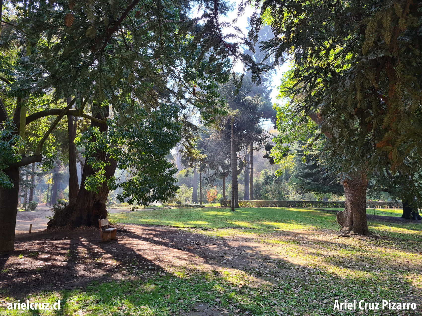 jardín botánico viña del mar