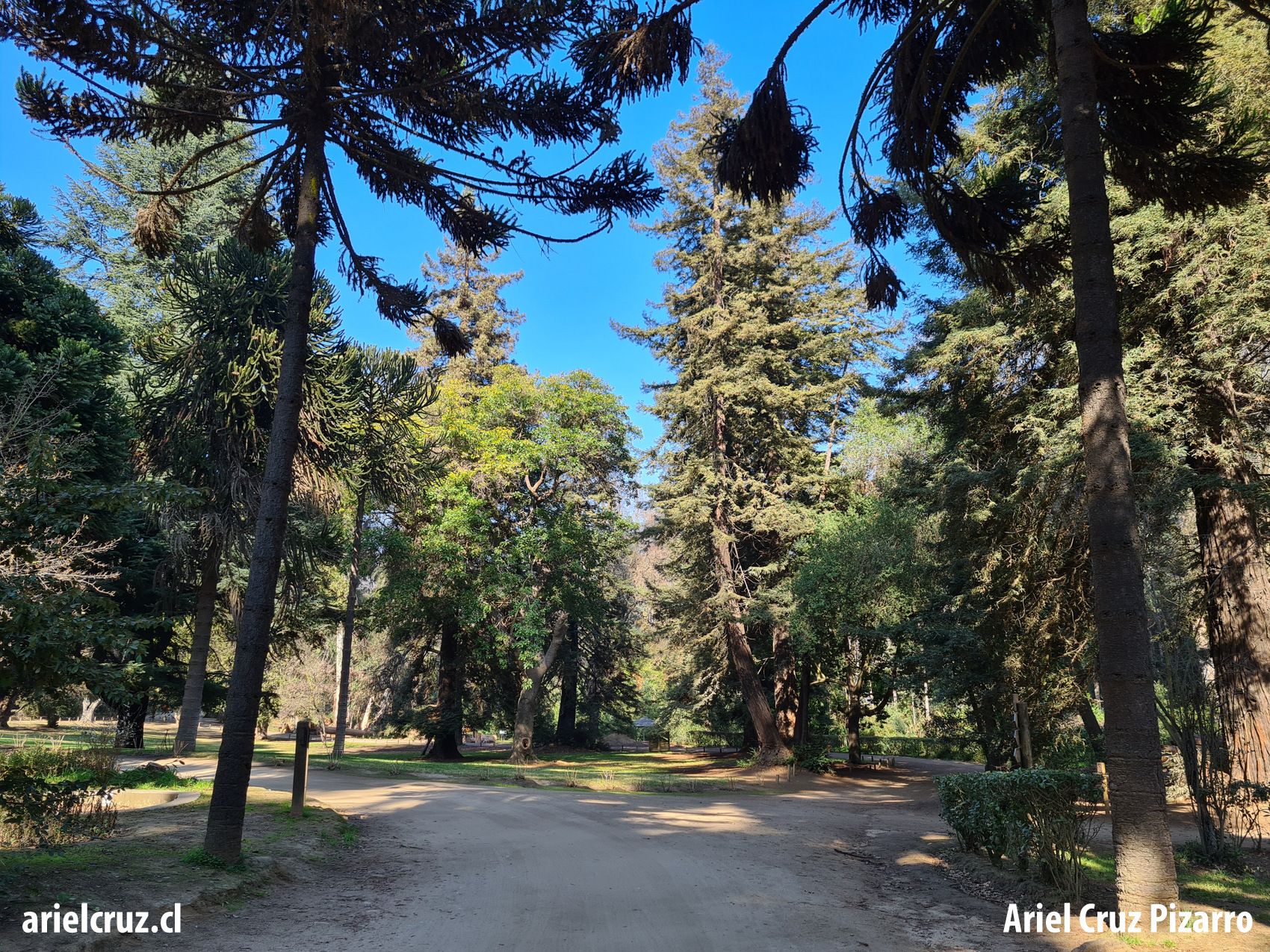 jardín botánico viña del mar
