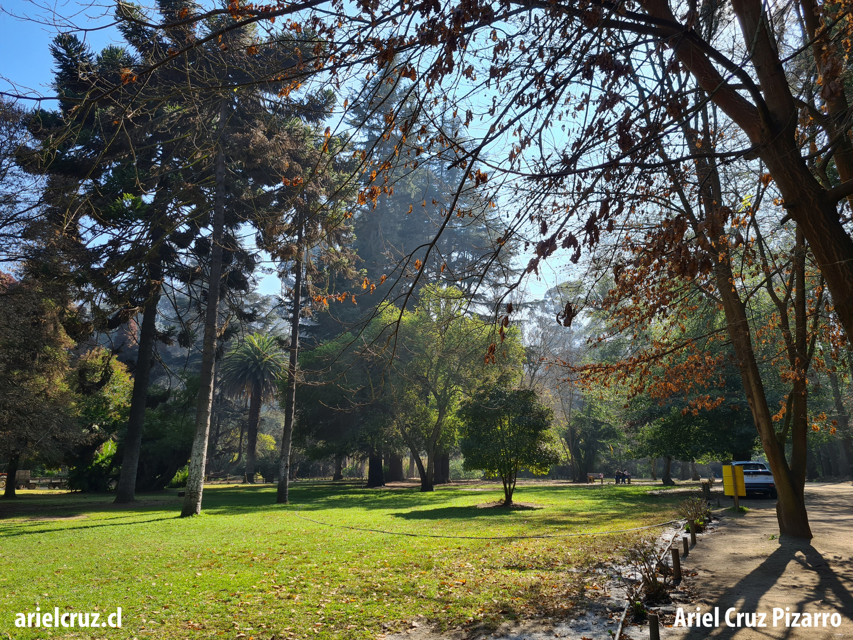 jardín botánico viña del mar
