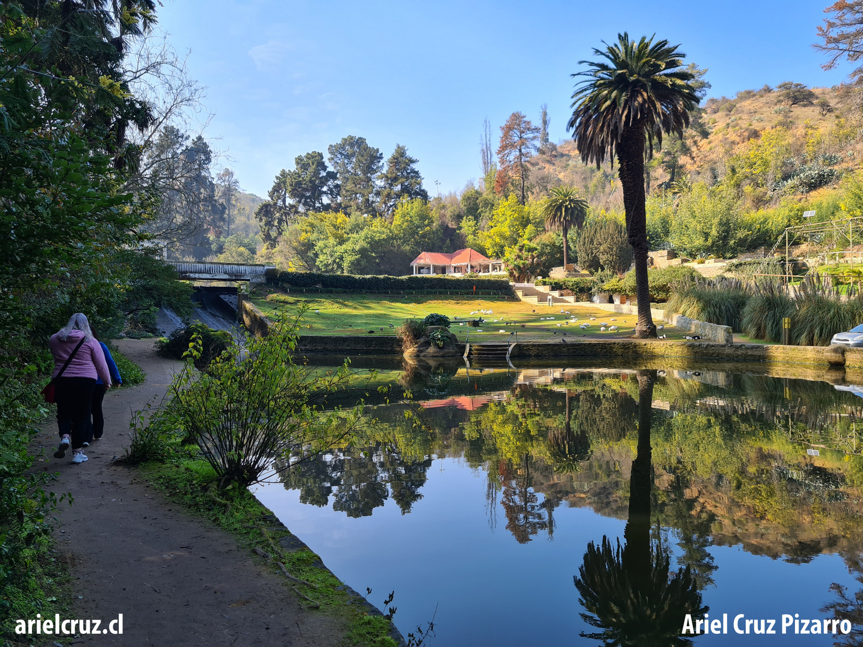 jardín botánico viña del mar