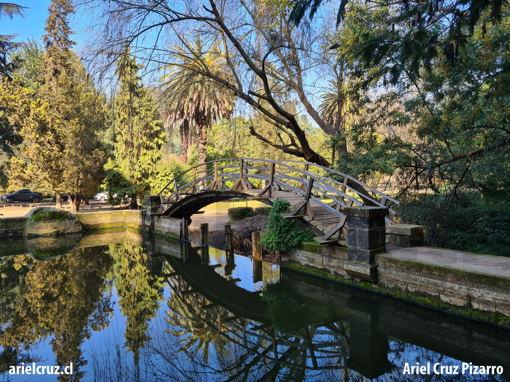 jardín botánico viña del mar