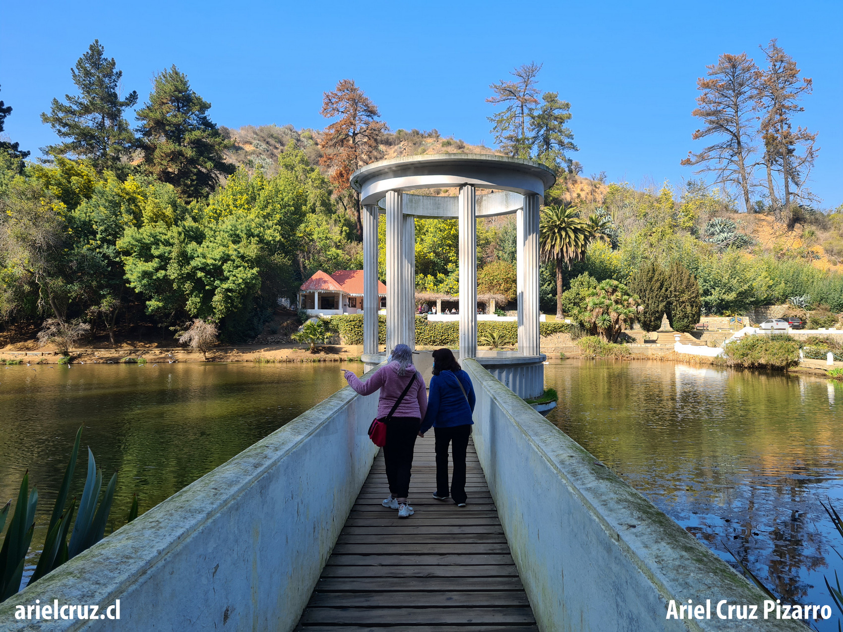 jardín botánico viña del mar