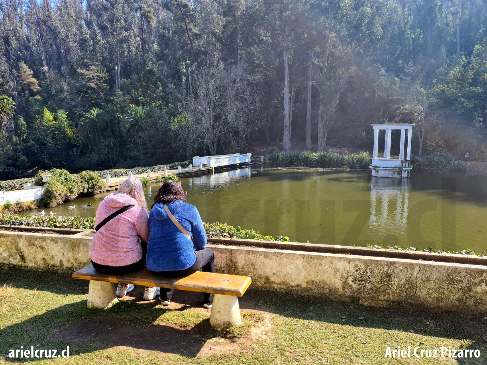 jardín botánico viña del mar