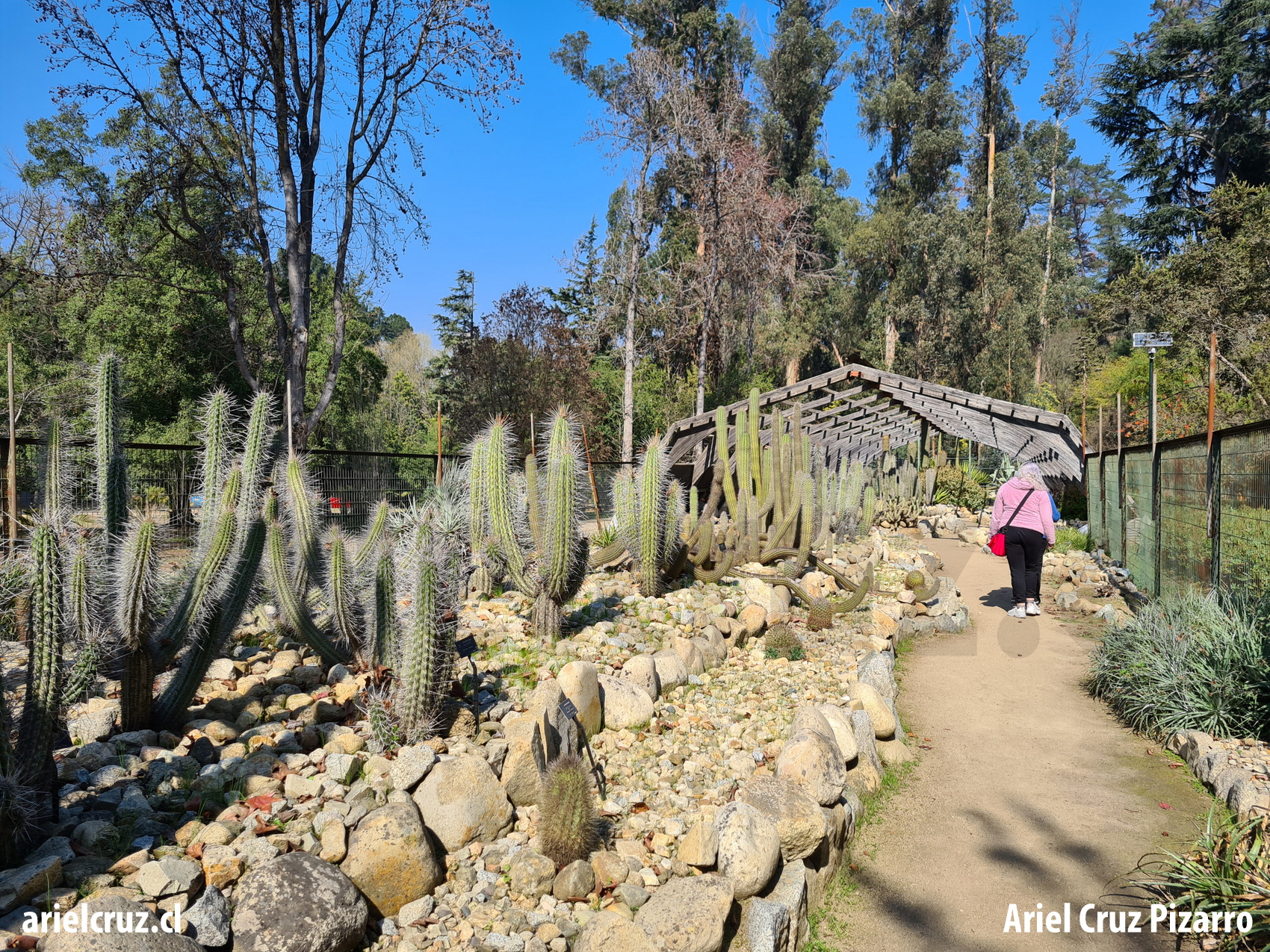 jardín botánico viña del mar