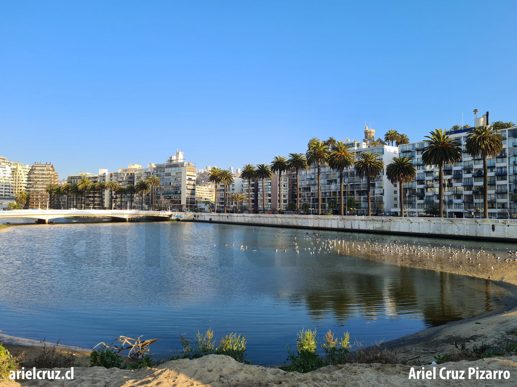 estero marga marga – viña del mar