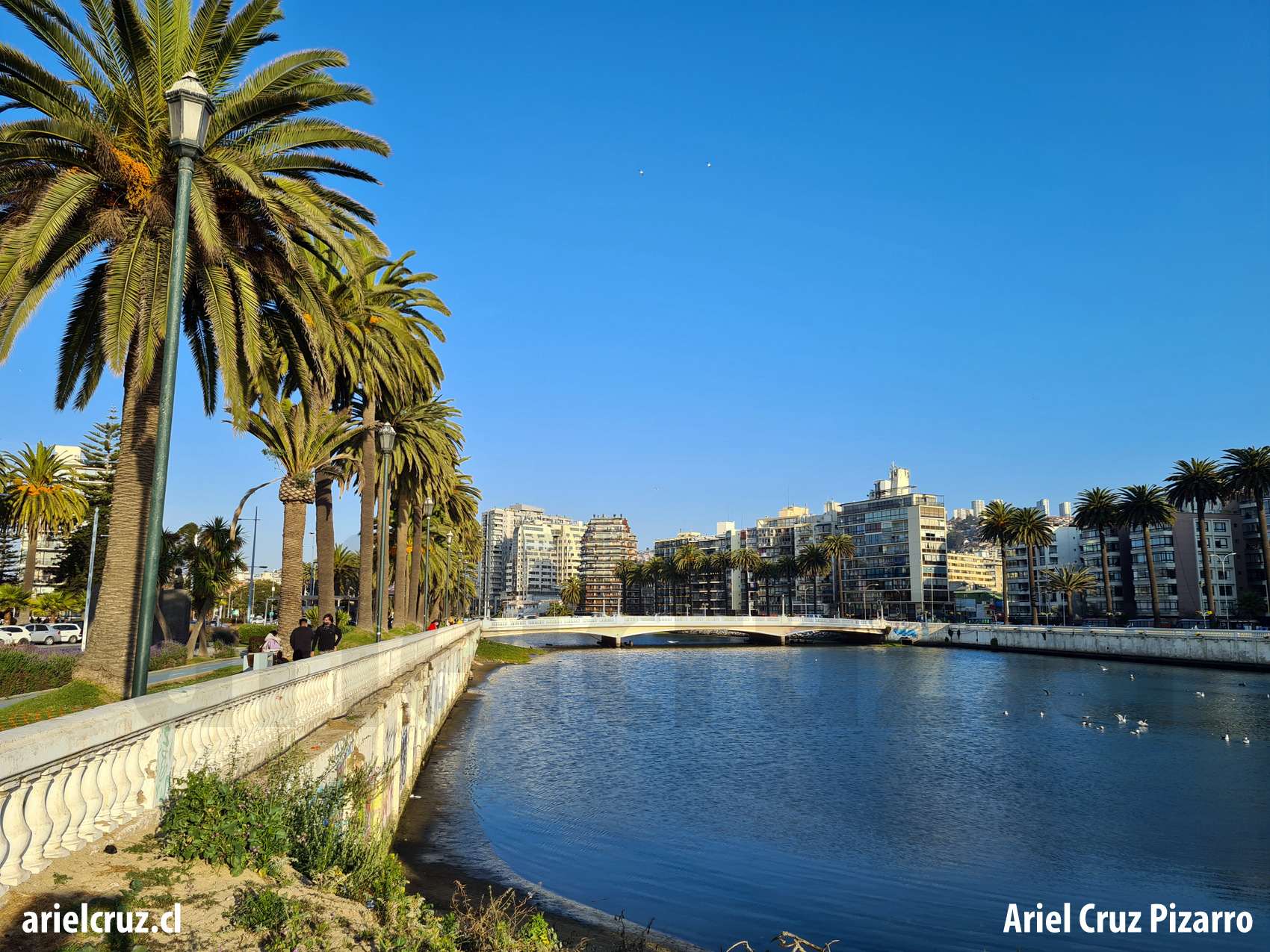 estero marga marga – viña del mar